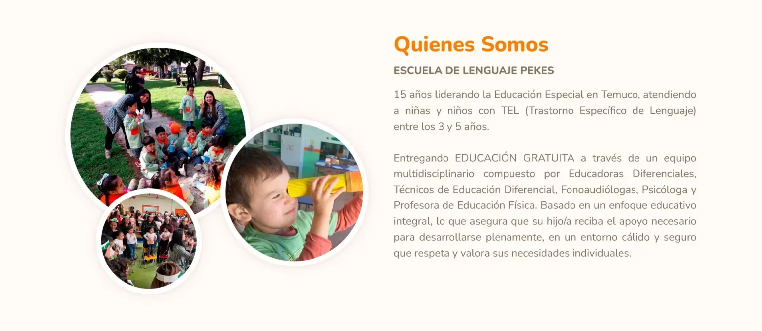 Captura del sitio web de Escuela Pekes de Temuco
