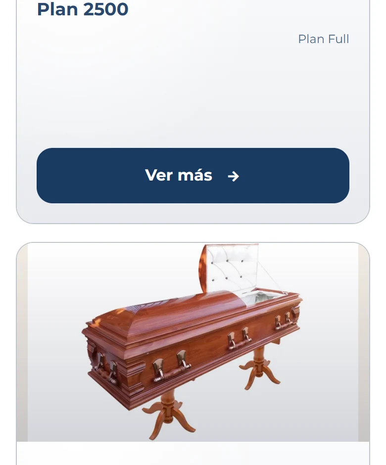 Funeraria San Mateo: Plan 1000 — ficha completa, vista móvil, fragmento 4.