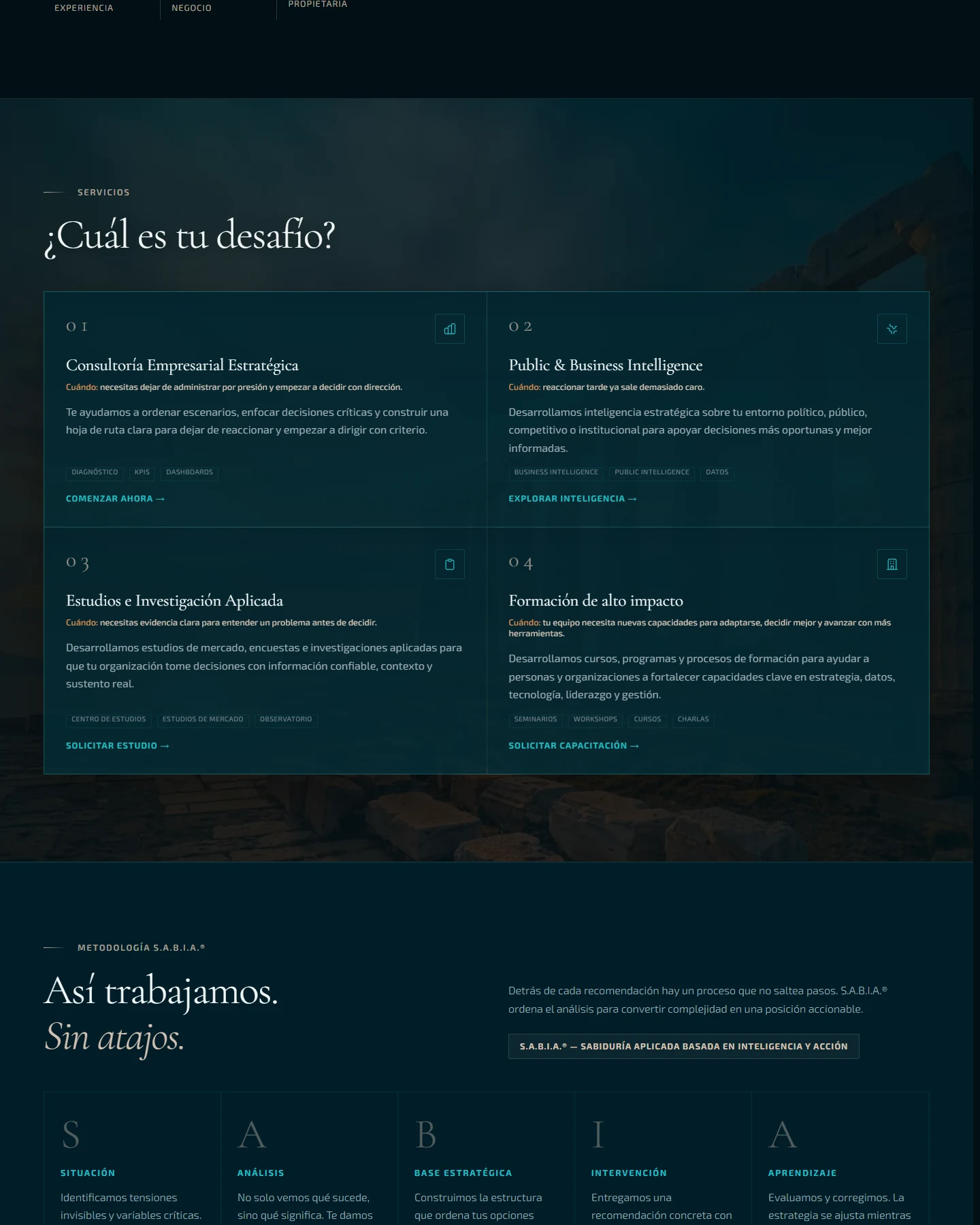 Captura del sitio web de Neometis