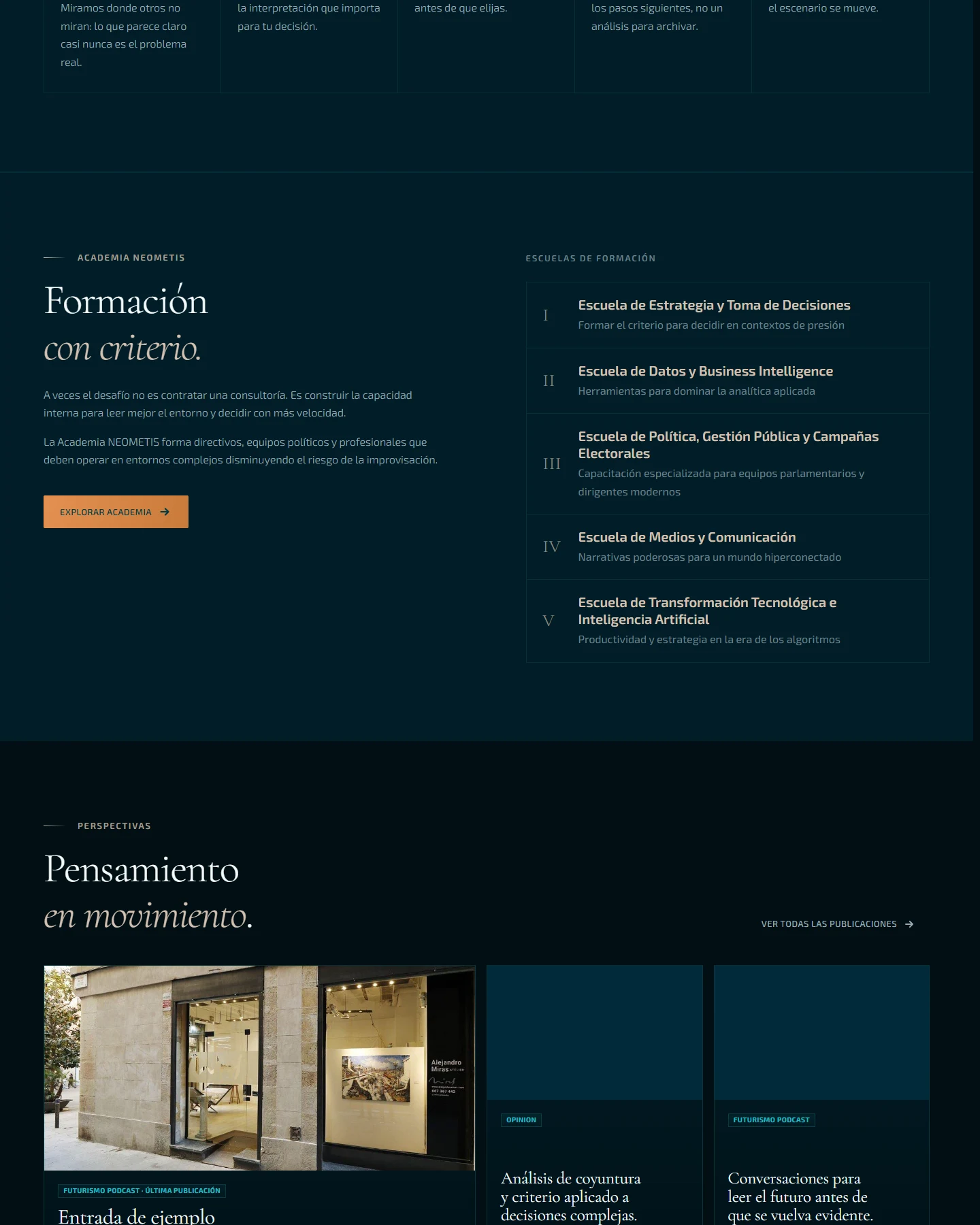 Captura del sitio web de Neometis