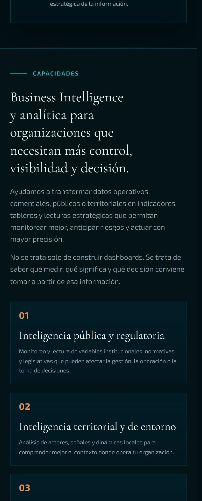 Neometis: Public & Business Intelligence — página completa, vista móvil, fragmento 2.