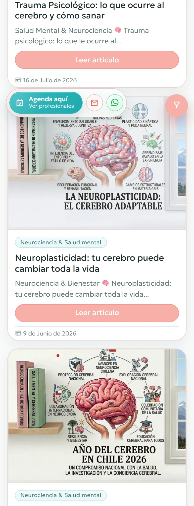Tu Espacio Integral: Blog completo: primera página, vista móvil, fragmento 2.